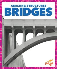 cover of the book Bridges