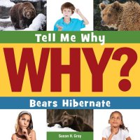 cover of the book Bears Hibernate