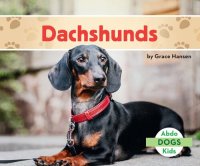 cover of the book Dachshunds