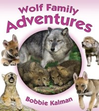 cover of the book Wolf Family Adventures