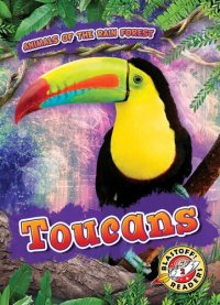 cover of the book Toucans