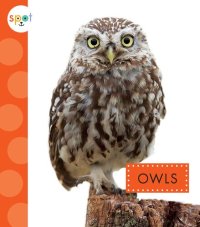 cover of the book Owls