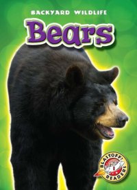 cover of the book Bears