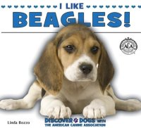 cover of the book I Like Beagles!