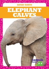 cover of the book Elephant Calves