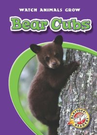 cover of the book Bear Cubs