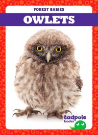 cover of the book Owlets