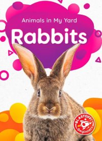 cover of the book Rabbits