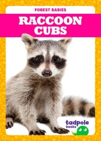 cover of the book Raccoon Cubs