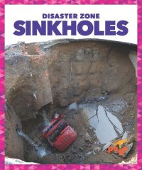 cover of the book Sinkholes