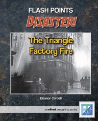 cover of the book The Triangle Factory Fire