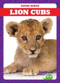 cover of the book Lion Cubs