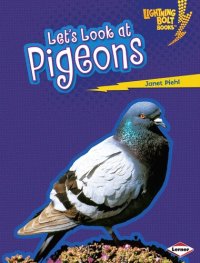 cover of the book Let's Look at Pigeons