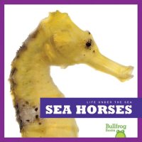 cover of the book Sea Horses