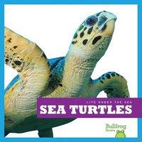 cover of the book Sea Turtles