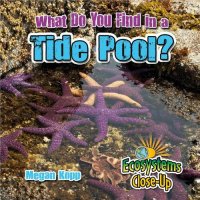 cover of the book What Do You Find in a Tide Pool?