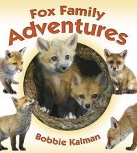 cover of the book Fox Family Adventures