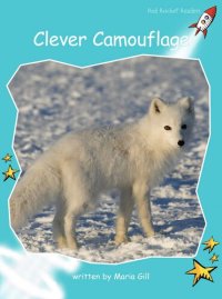 cover of the book Clever Camouflage