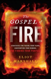 cover of the book The Gospel of Fire: Strategies for Facing Your Fears, Confronting Your Demons, and Finding Your Purpose