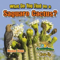 cover of the book What Do You Find on a Saguaro Cactus?