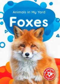 cover of the book Foxes