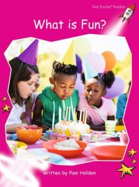 cover of the book What Is Fun?