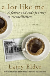 cover of the book A Lot Like Me: A Father and Son's Journey to Reconciliation