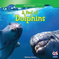 cover of the book A Pod of Dolphins