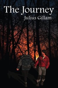 cover of the book The Journey