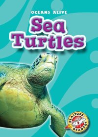 cover of the book Sea Turtles