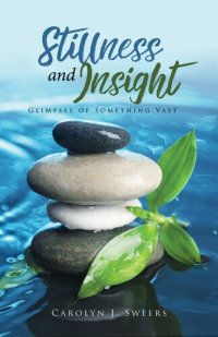 cover of the book Stillness and Insight: GLIMPSES OF SOMETHING VAST