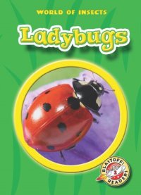 cover of the book Ladybugs