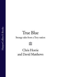 cover of the book True Blue: Strange Tales from a Tory Nation