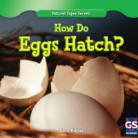 cover of the book How Do Eggs Hatch?