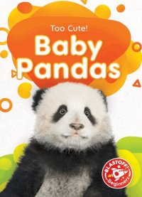 cover of the book Baby Pandas