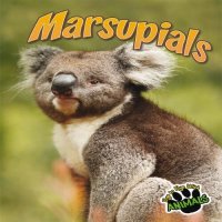 cover of the book Marsupials