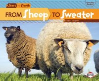 cover of the book From Sheep to Sweater