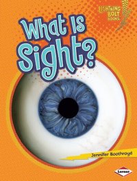 cover of the book What Is Sight?