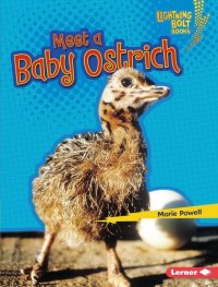 cover of the book Meet a Baby Ostrich