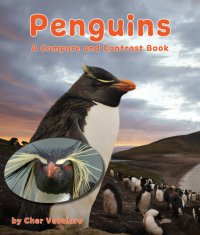 cover of the book Penguins