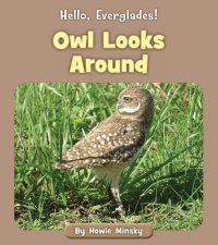 cover of the book Owl Looks Around