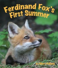 cover of the book Ferdinand Fox's First Summer