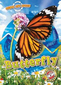 cover of the book Animal Life Cycles: Butterfly