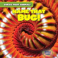 cover of the book Name That Bug!