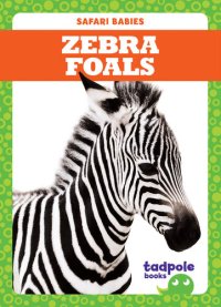 cover of the book Zebra Foals