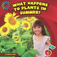 cover of the book What Happens to Plants in Summer?