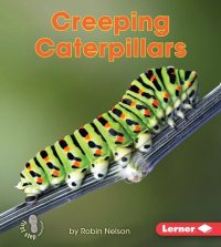 cover of the book Creeping Caterpillars: Backyard Critters