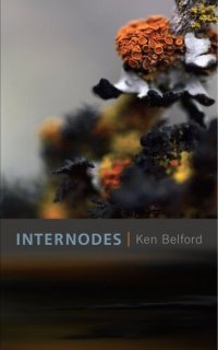 cover of the book Internodes