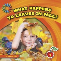 cover of the book What Happens to Leaves in Fall?