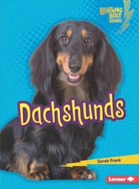 cover of the book Dachshunds